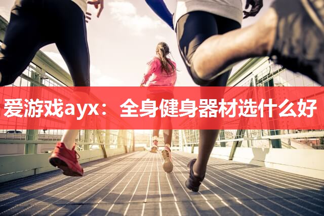 爱游戏ayx：全身健身器材选什么好