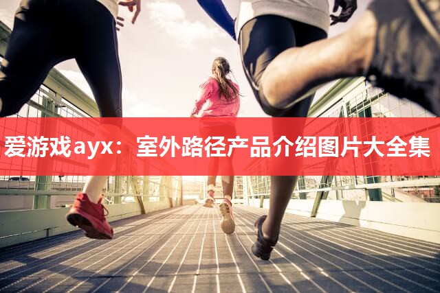 爱游戏ayx：室外路径产品介绍图片大全集