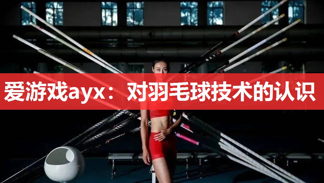 爱游戏ayx：对羽毛球技术的认识